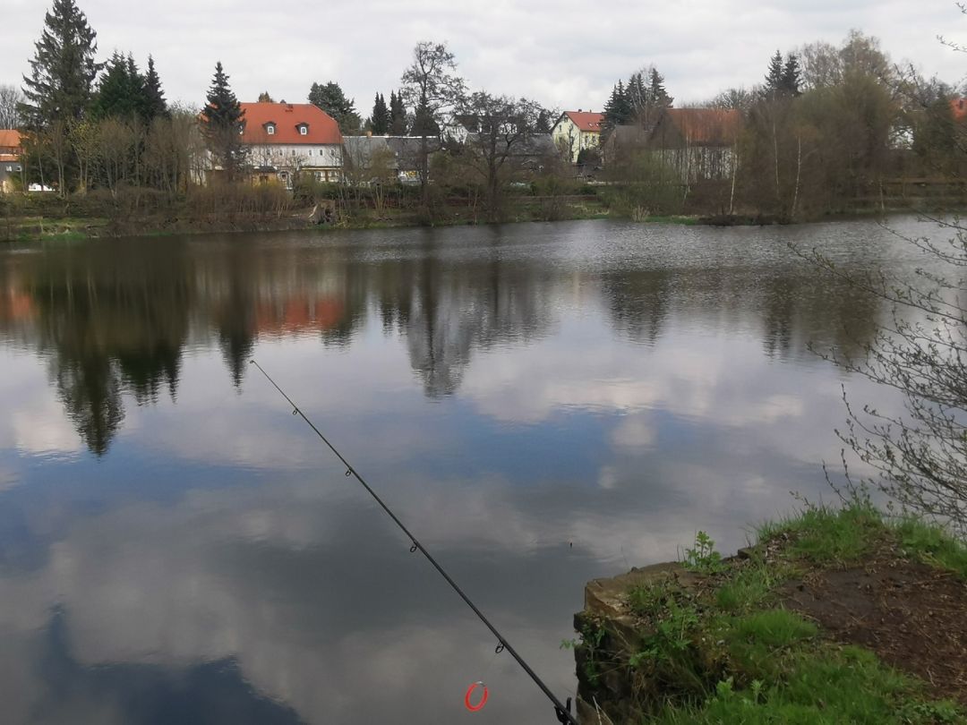 Blattbinderteich (Neugersdorf) angeln
