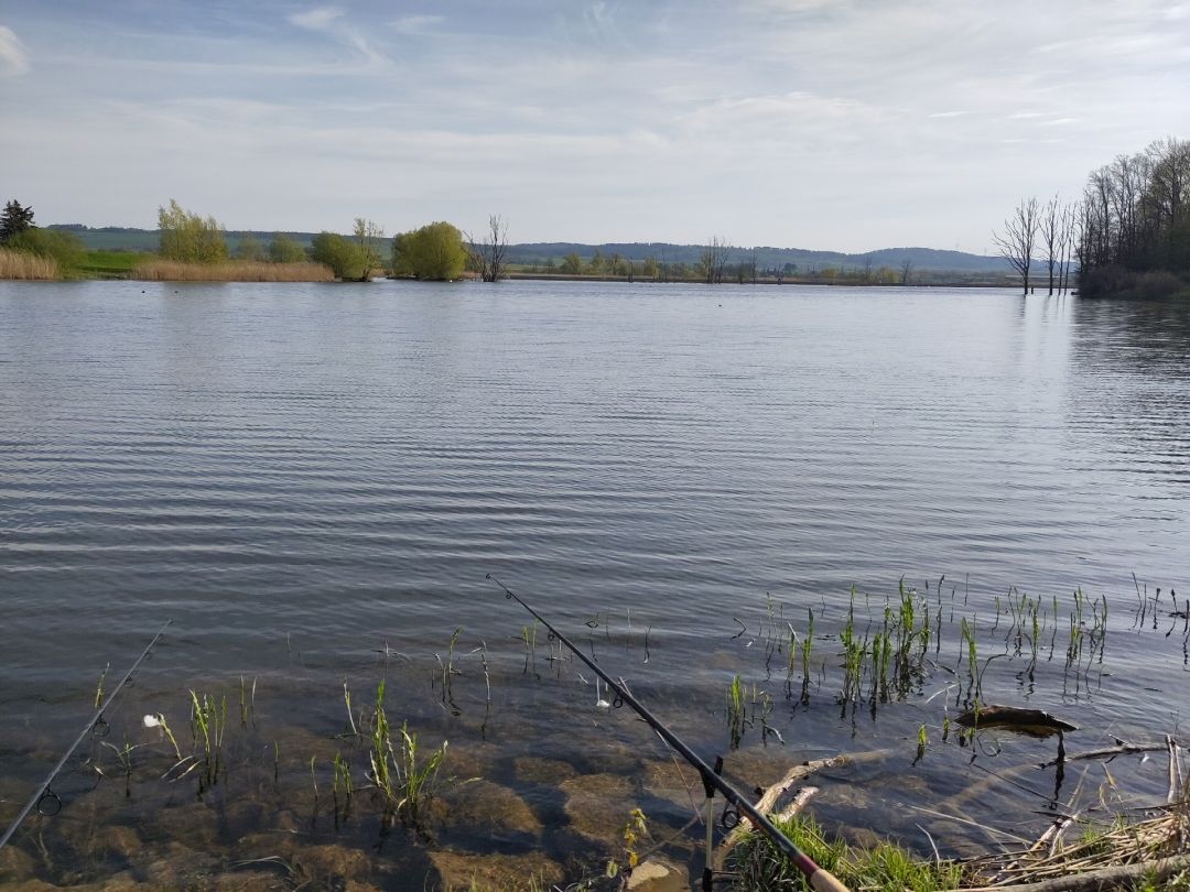 Goldbergsee (Coburg) angeln