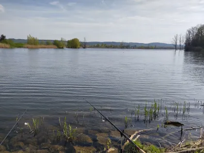 Goldbergsee (Coburg)