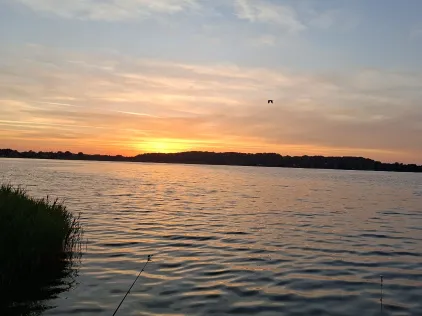 Schlei (Lindaunis)