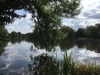 Campingsee (Dinkelsbühl)