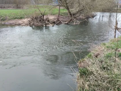 Fränkische Saale (Großenbrach)