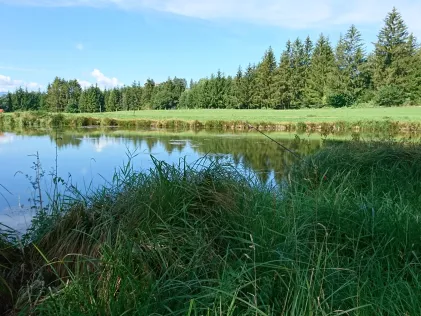 Rottachweiher (Lechbruck)