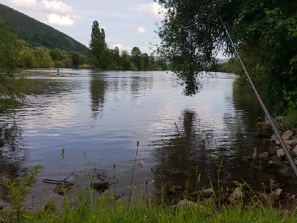 Main (Laudenbach)