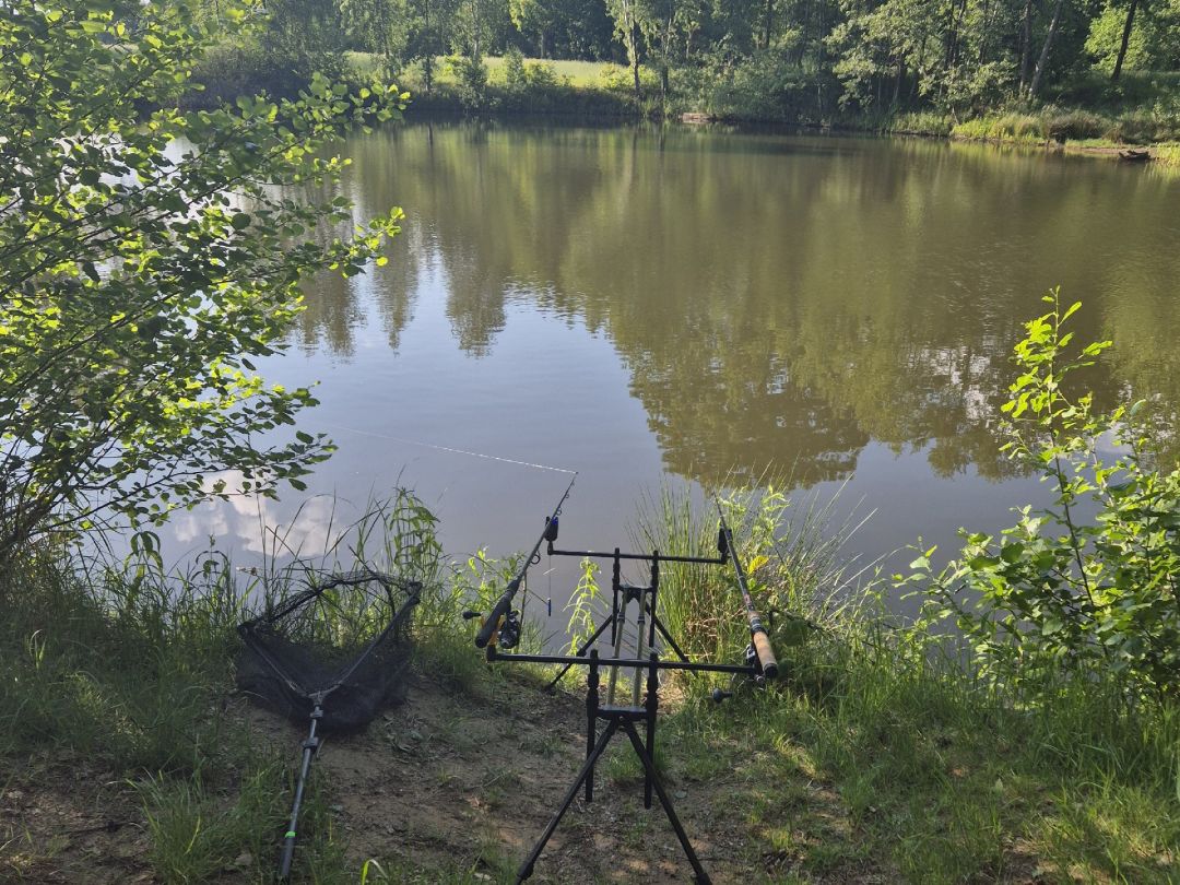 Das Loch (Annaburg) angeln