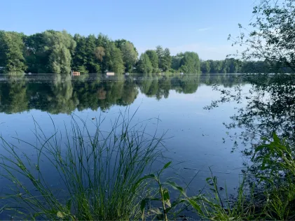 Waldsee Paderborn