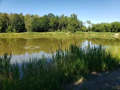 Volzensee