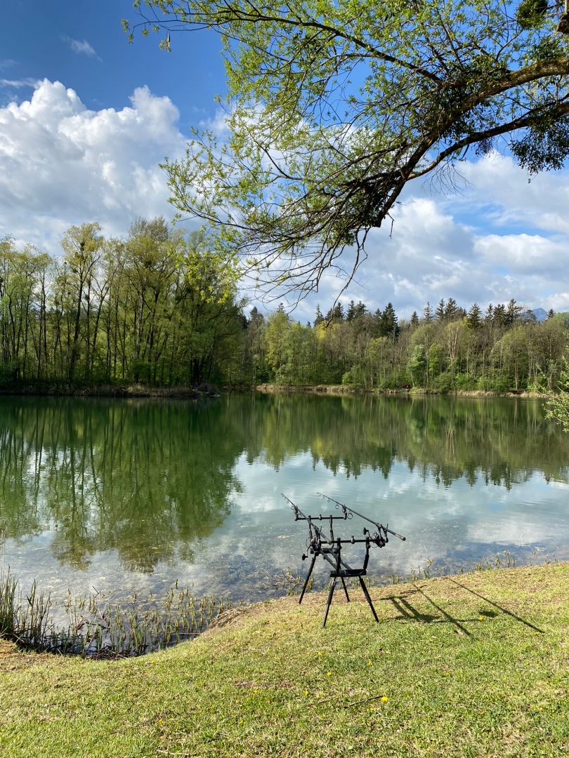 Reischenharter See angeln