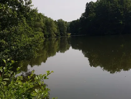 Erlensee (Mainzlar)