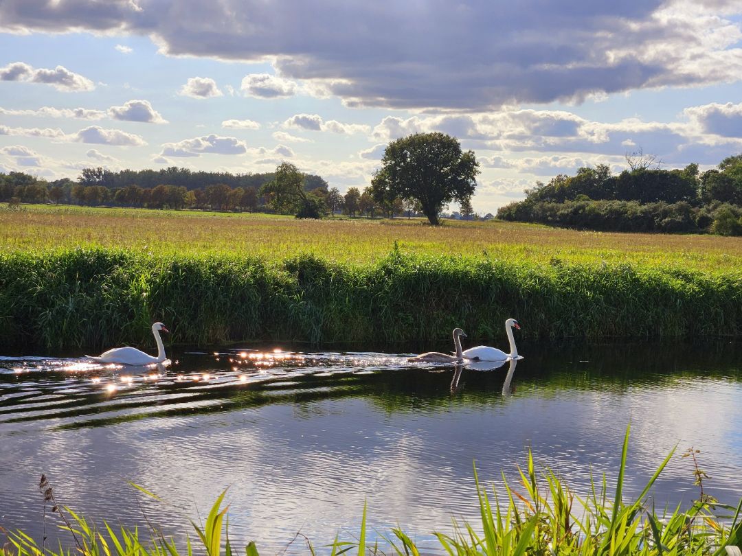 Landgraben (Friedland) angeln