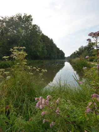 Ludwig-Donau-Main-Kanal (Lindelburg)