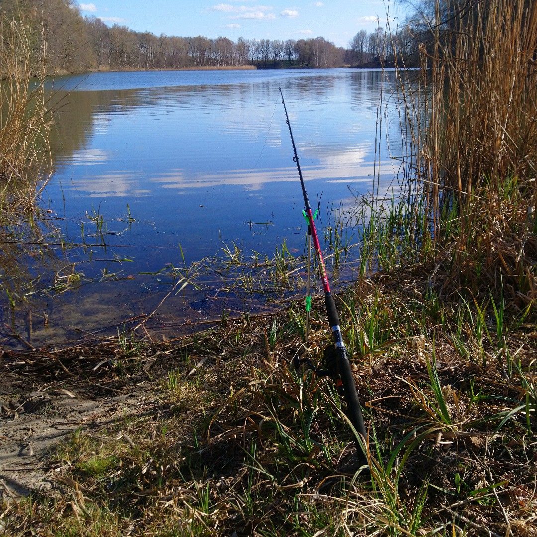 Demenzsee angeln