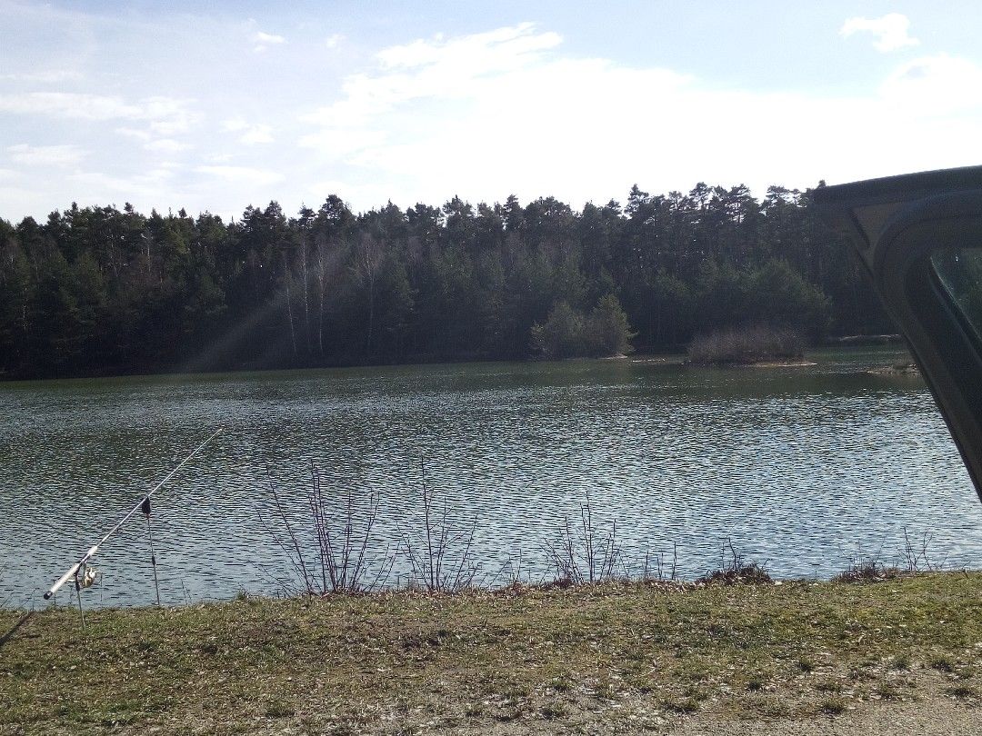 Blauer Weiher (Etzenricht) angeln