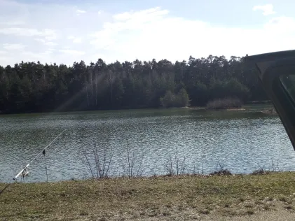 Blauer Weiher (Etzenricht)