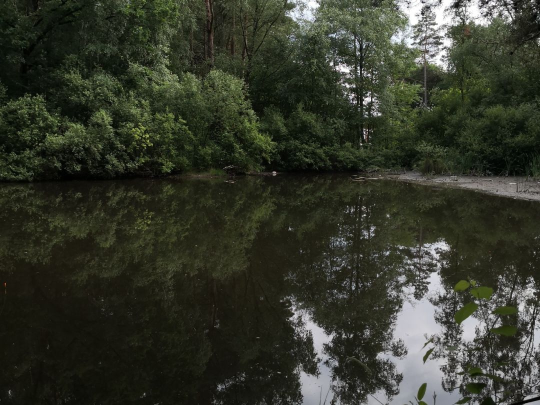 Granziner Waldteich angeln