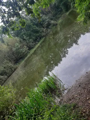 Darmer Waldsee