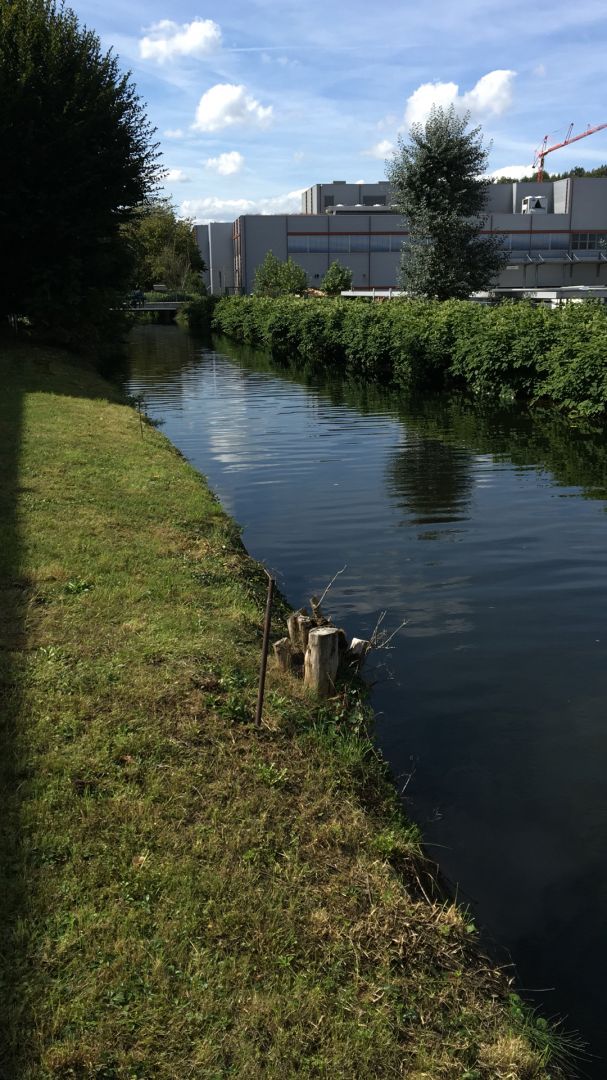 Gewerbekanal (Maulburg) angeln