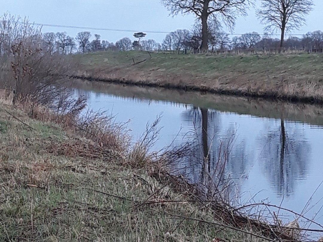 Sauteler Kanal (Großefehn) angeln