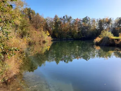 Lengede Teich 12