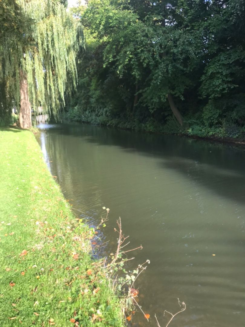 Beneden Merwede (Dordrecht) angeln