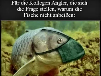 Donau (Pförring)
