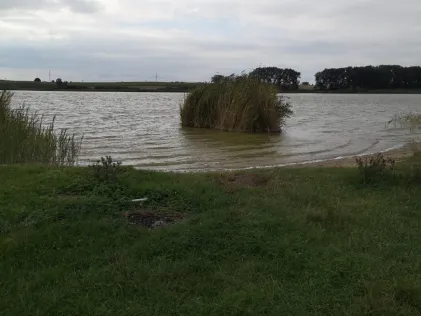 Sumpfsee (Güstrow)