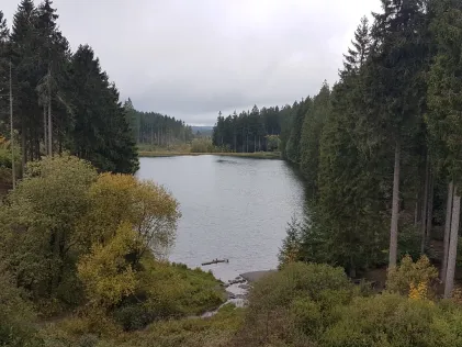 Mittlerer Grumbacher Teich