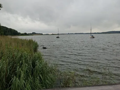 Schlei (Winnemark)
