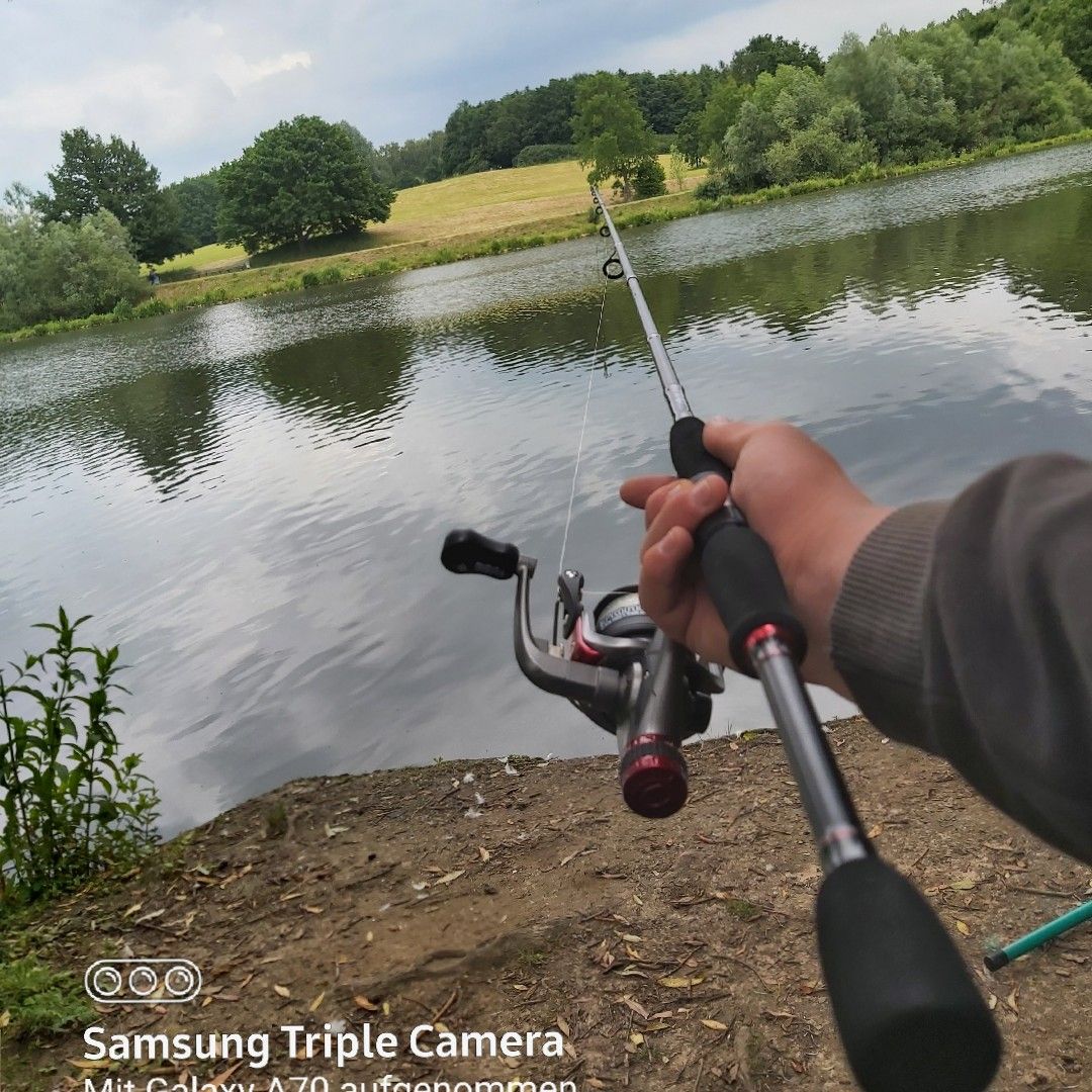 Obersee (Bielefeld-Schildesche) angeln