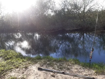 Lippe (Lippetal-Herzfeld)