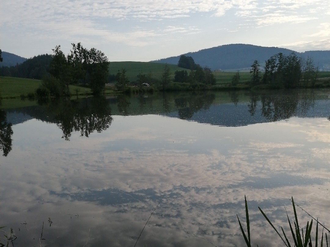 Furthweiher (Hauzenberg) angeln