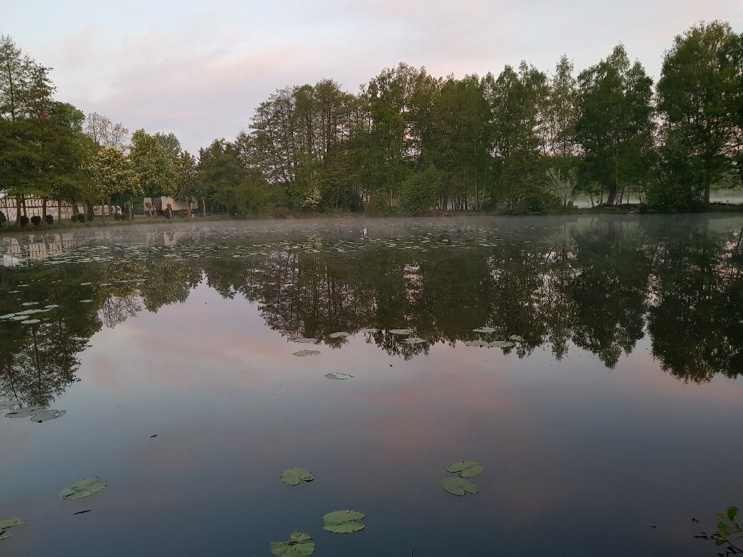 Ententeich (Schermbeck) angeln