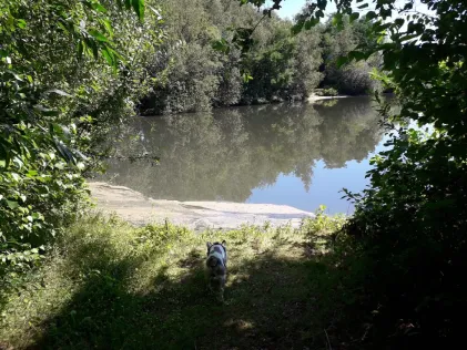 Vennteich