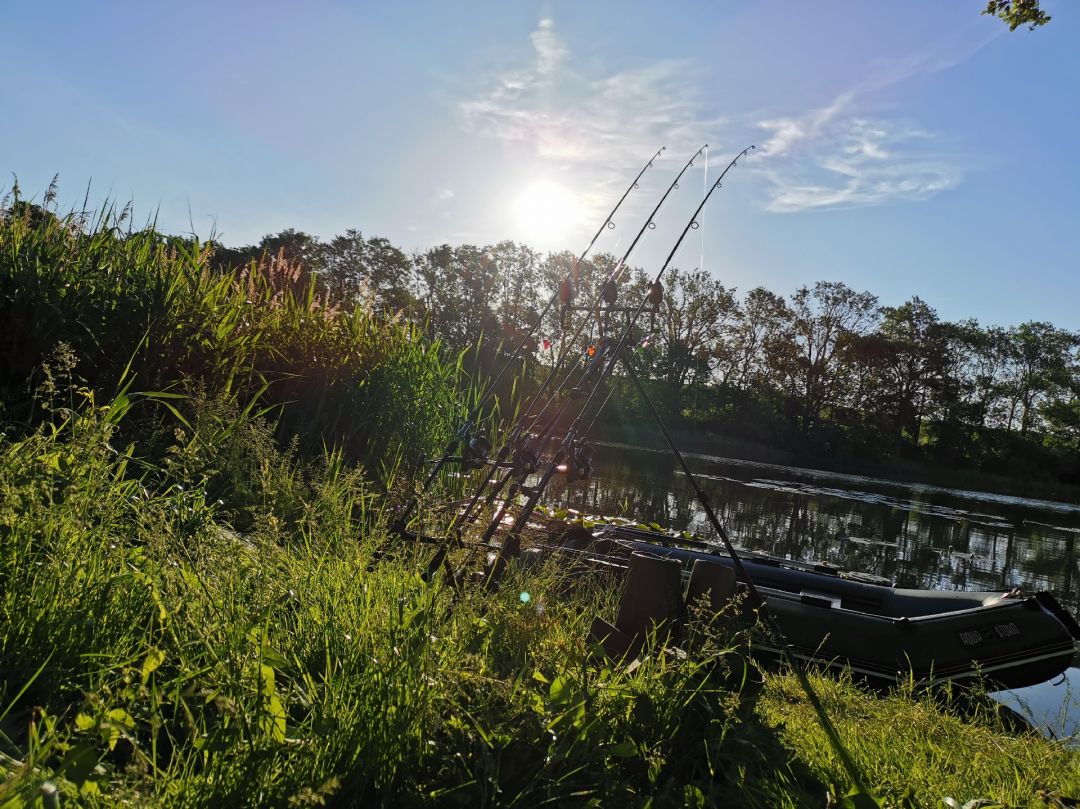 Hofsee (Zahren) angeln