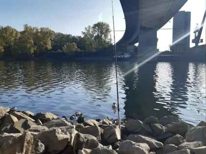Rhein (Mannheim-Sandhofen)