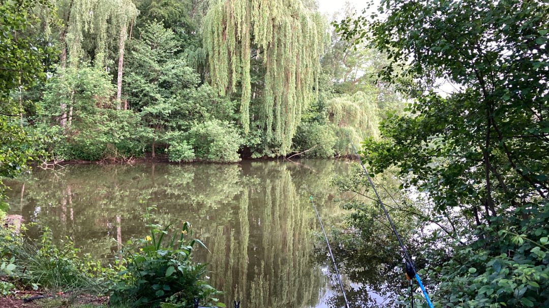 Buschmannsee mit Insel angeln