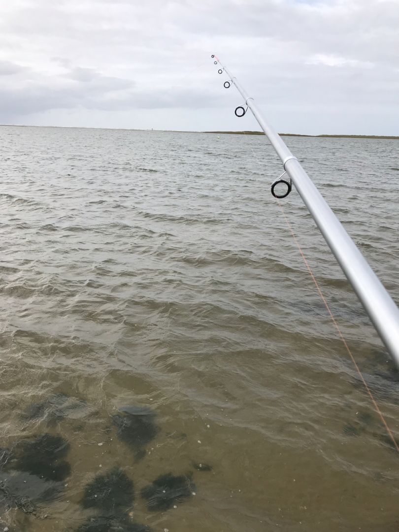 Nordsee (St. Peter-Ording) angeln