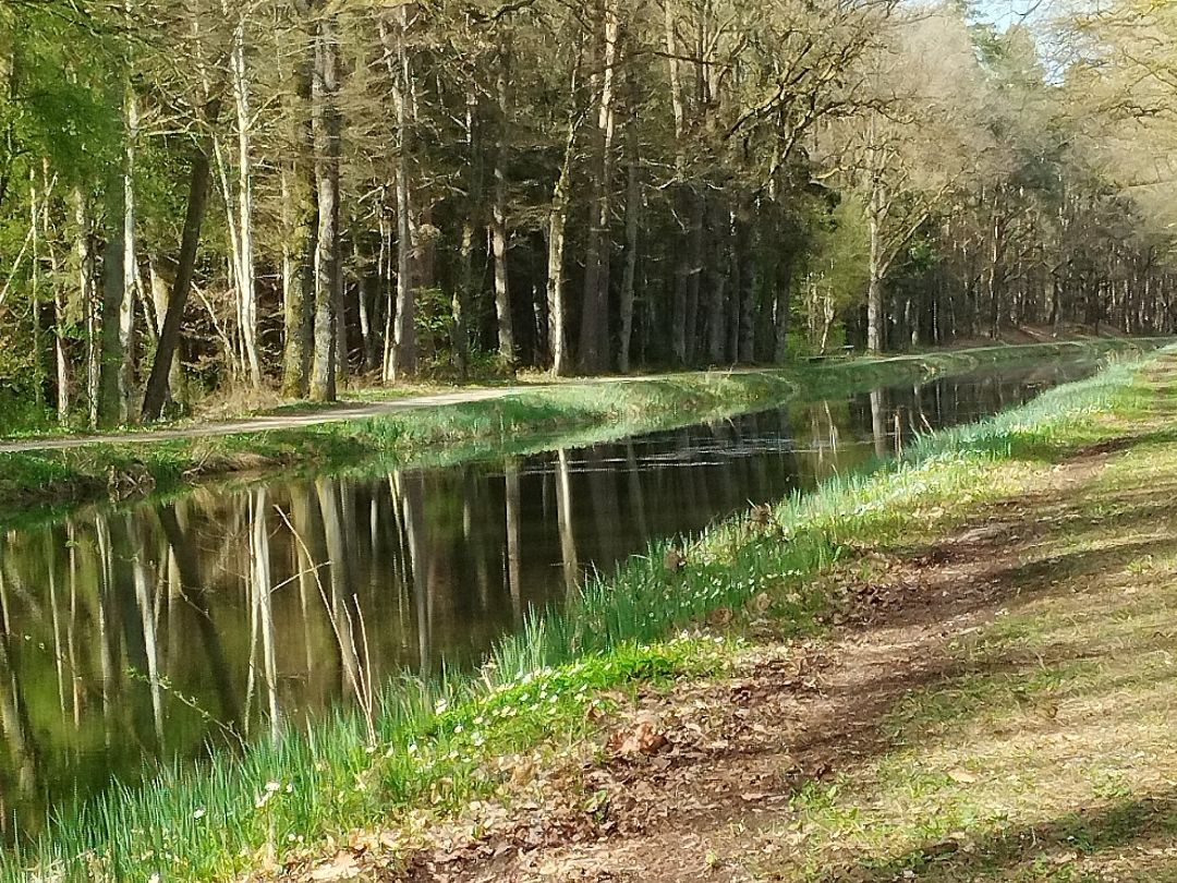 Ludwig-Donau-Main-Kanal (Mühlhausen) angeln