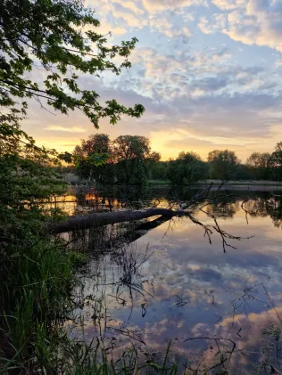 Mühlenteich (Rüting)