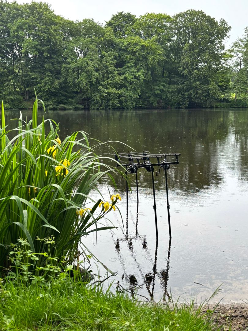 Mühlenteich Nordhastedt angeln
