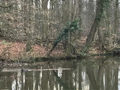 Grundloser Kolk (Warendorf)