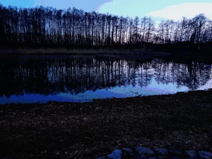 Schmerzer Teich (Muldestausee)