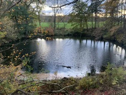 Röhnsitte Diekholzen