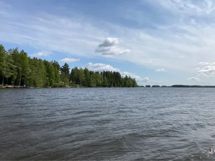 Saksalonselkä
