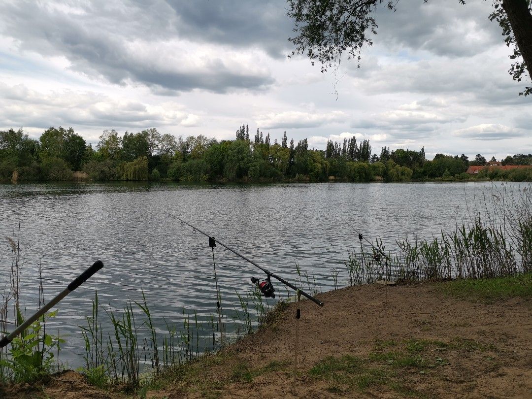 Baggersee Wunstorf angeln