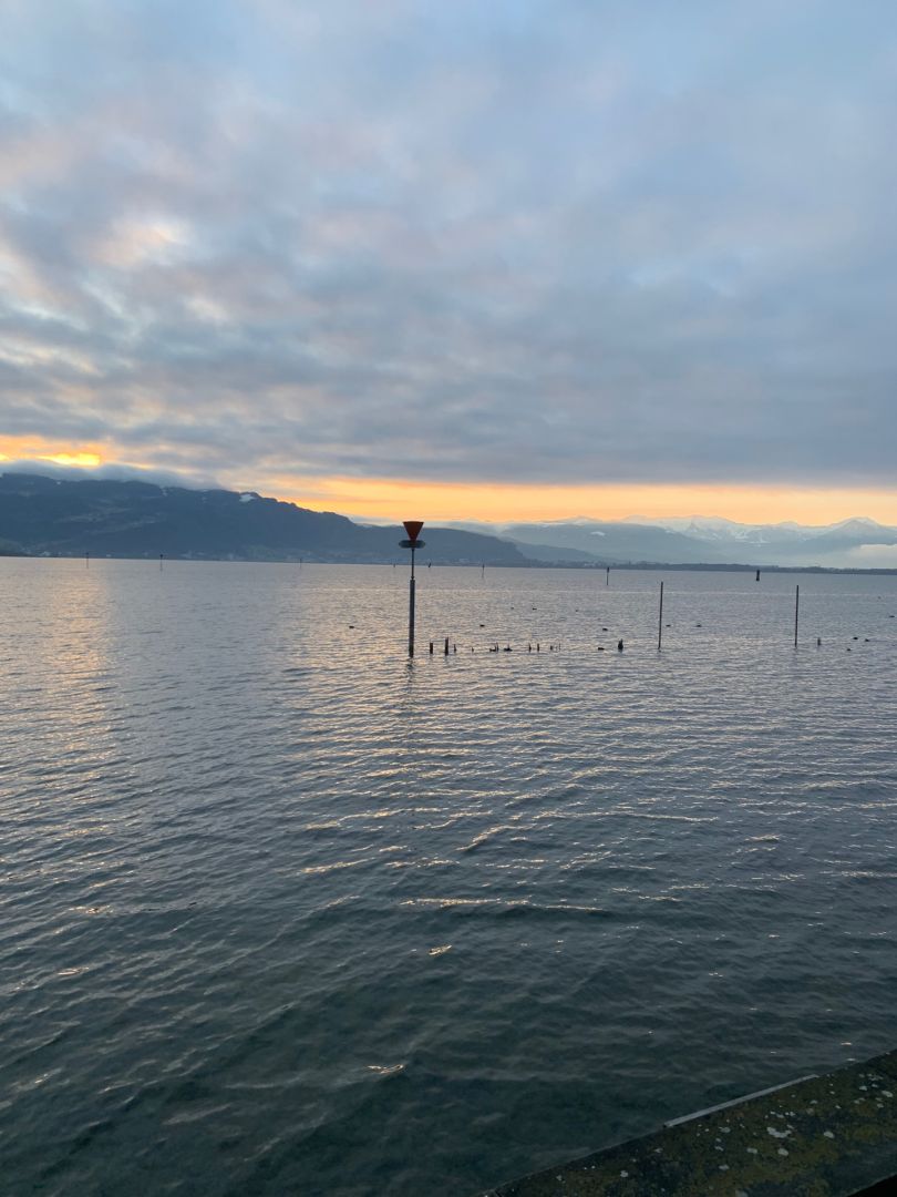 Angeln in Lindau (Bodensee)