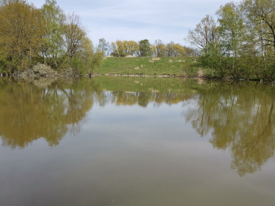 Schleienkuhle (Hagenow) angeln