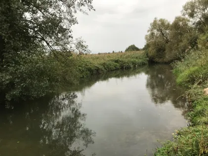 Kleine Laber (Atting)
