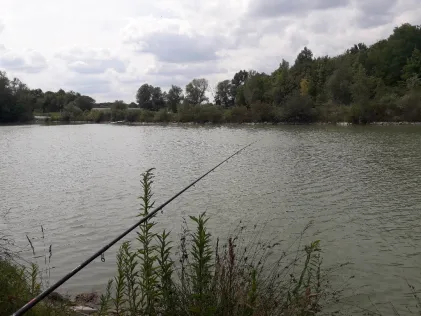 Phönixsee (Beckum)