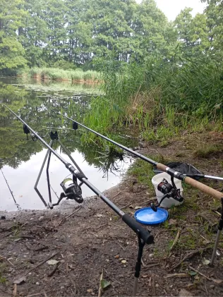 Mühlenteich (Bad Düben)